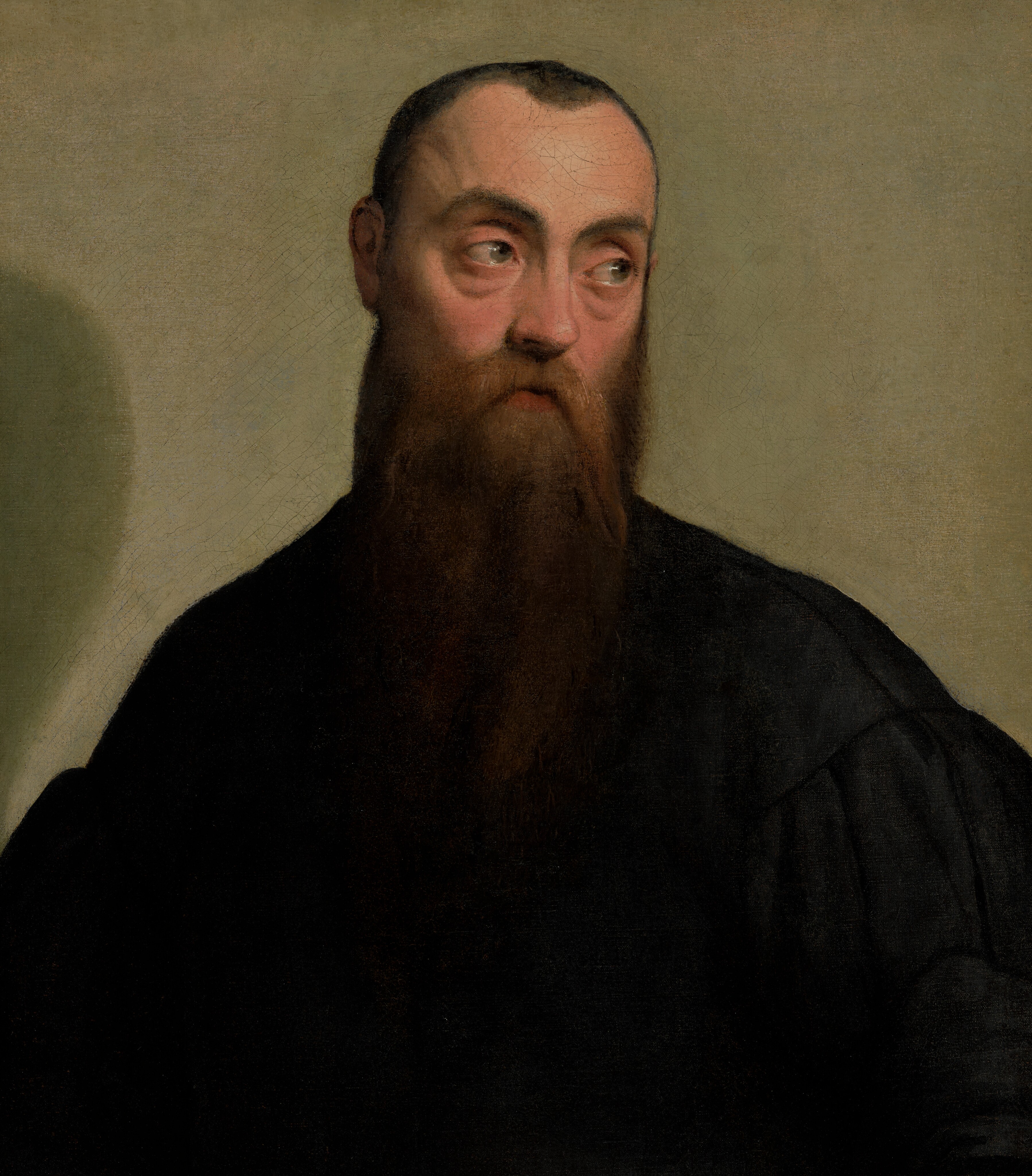Portrait of a Bearded Man by Jacopo Bassano