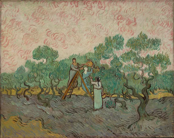 Women Picking Olives by Vincent van Gogh