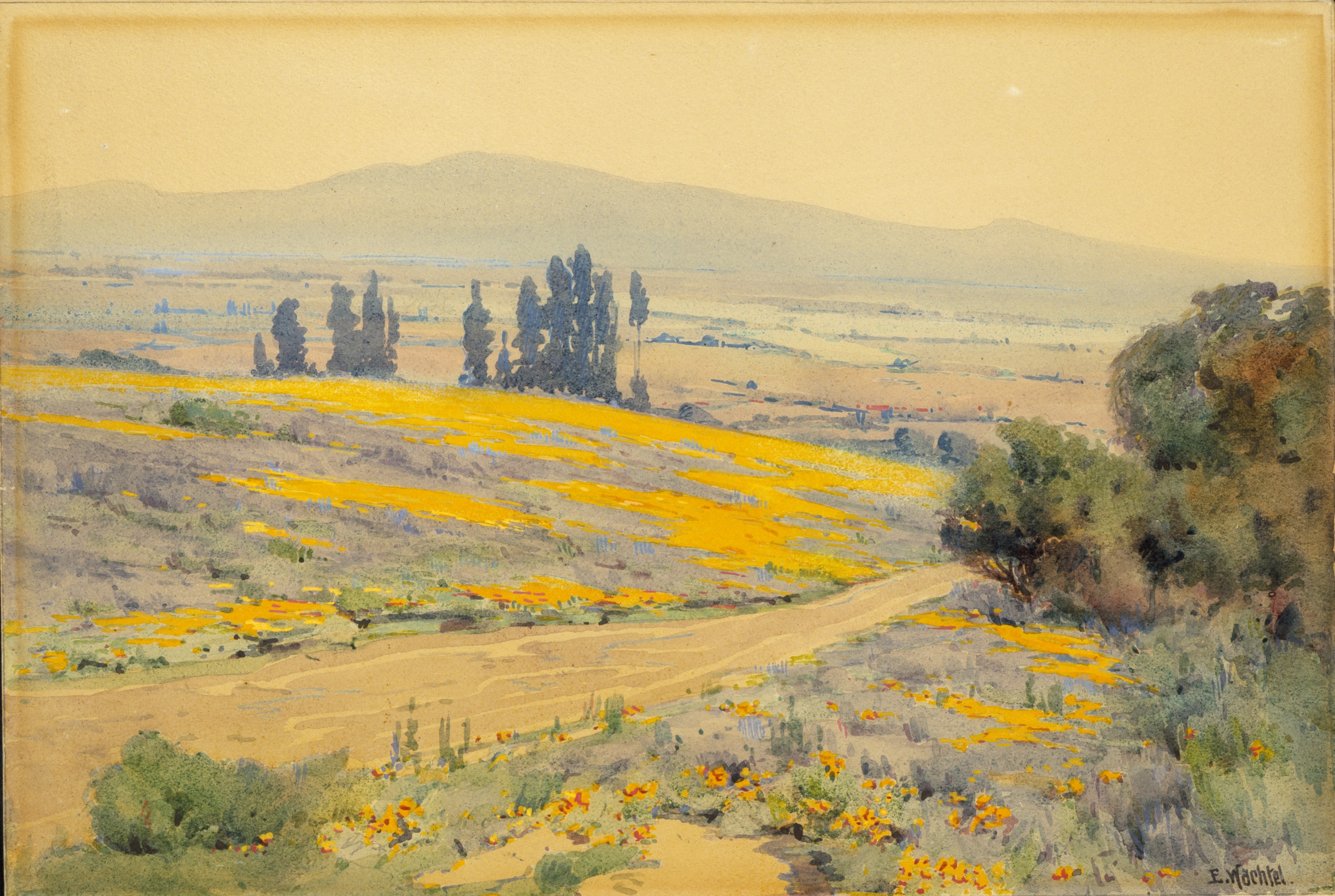 California Spring Landscape by Elmer Wachtel
