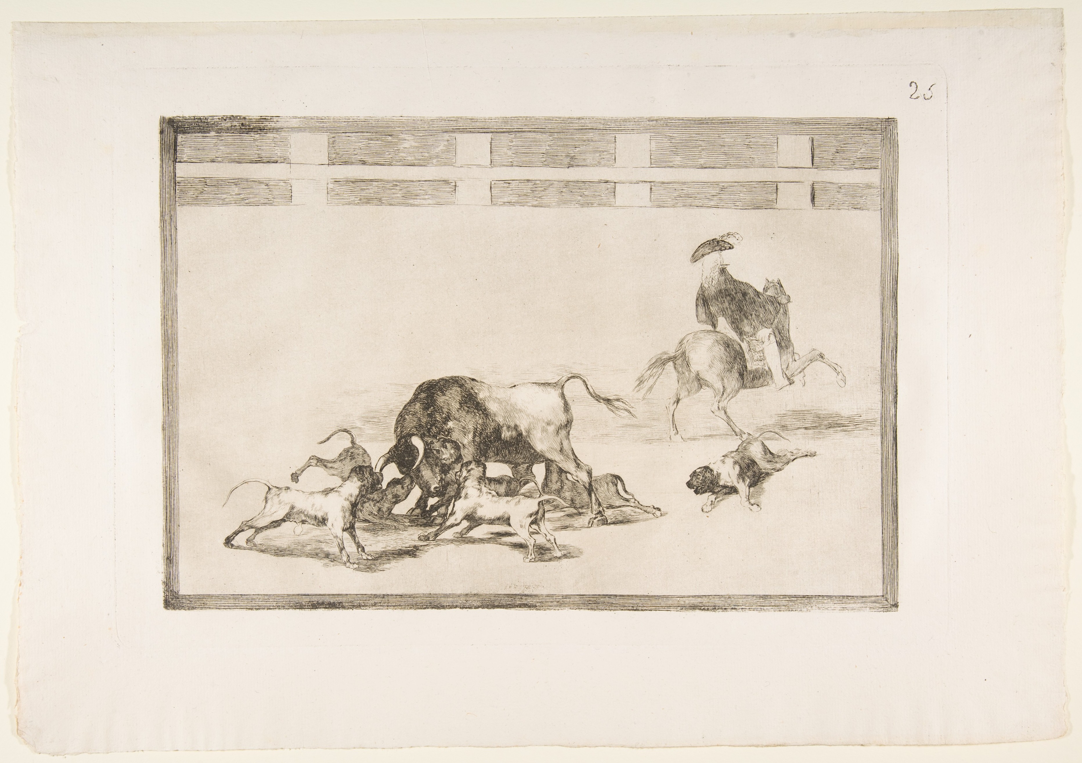 Plate 25 from "La Tauromaquia": They loose dogs on the bull by Goya (Francisco de Goya y Lucientes)