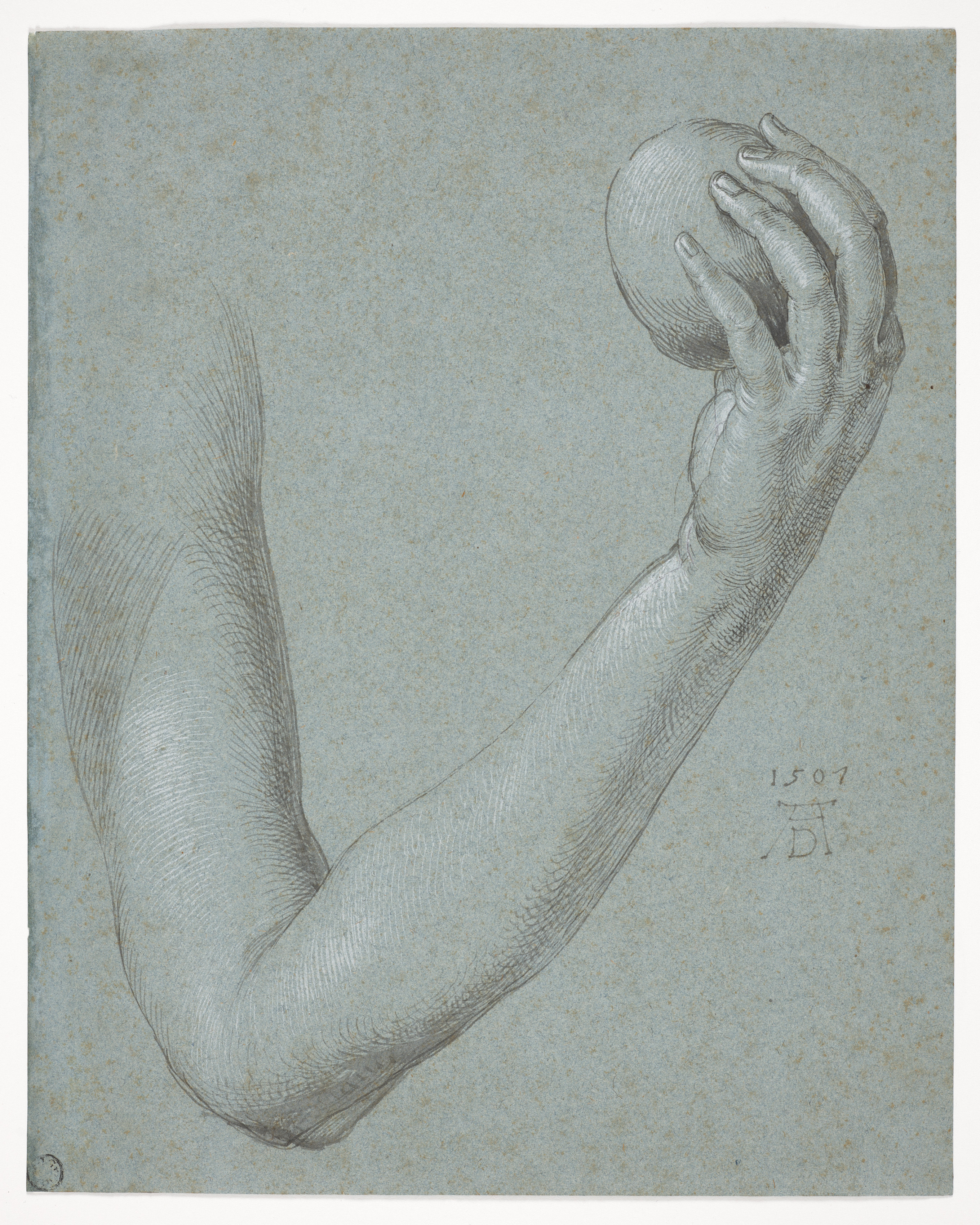 Arm of Eve by Albrecht Dürer