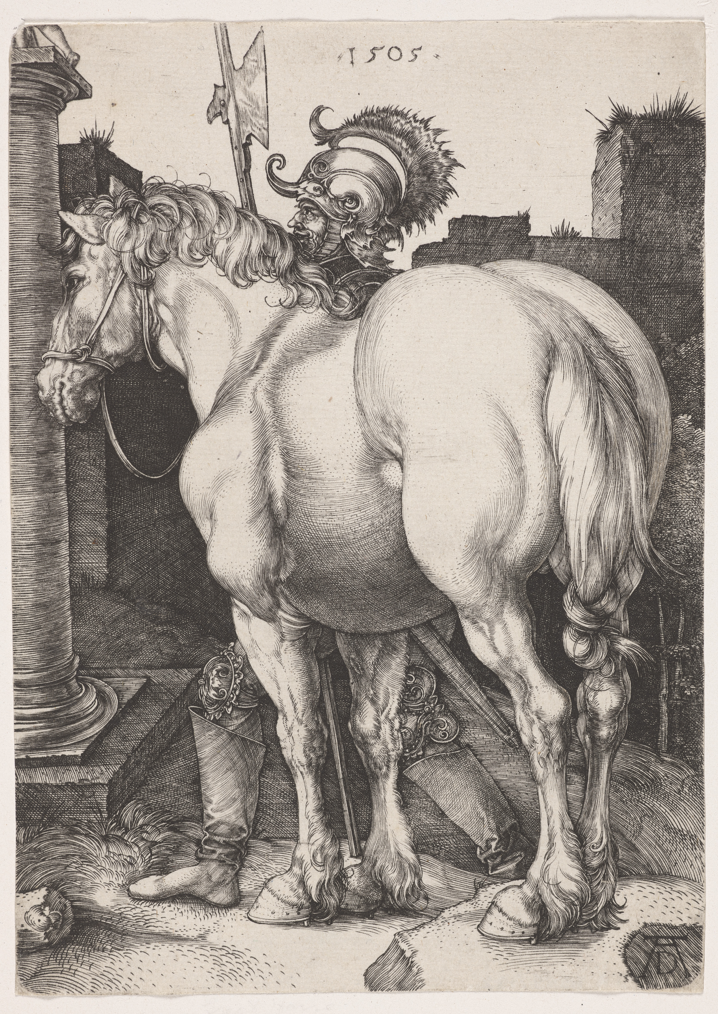 The Large Horse by Albrecht Dürer