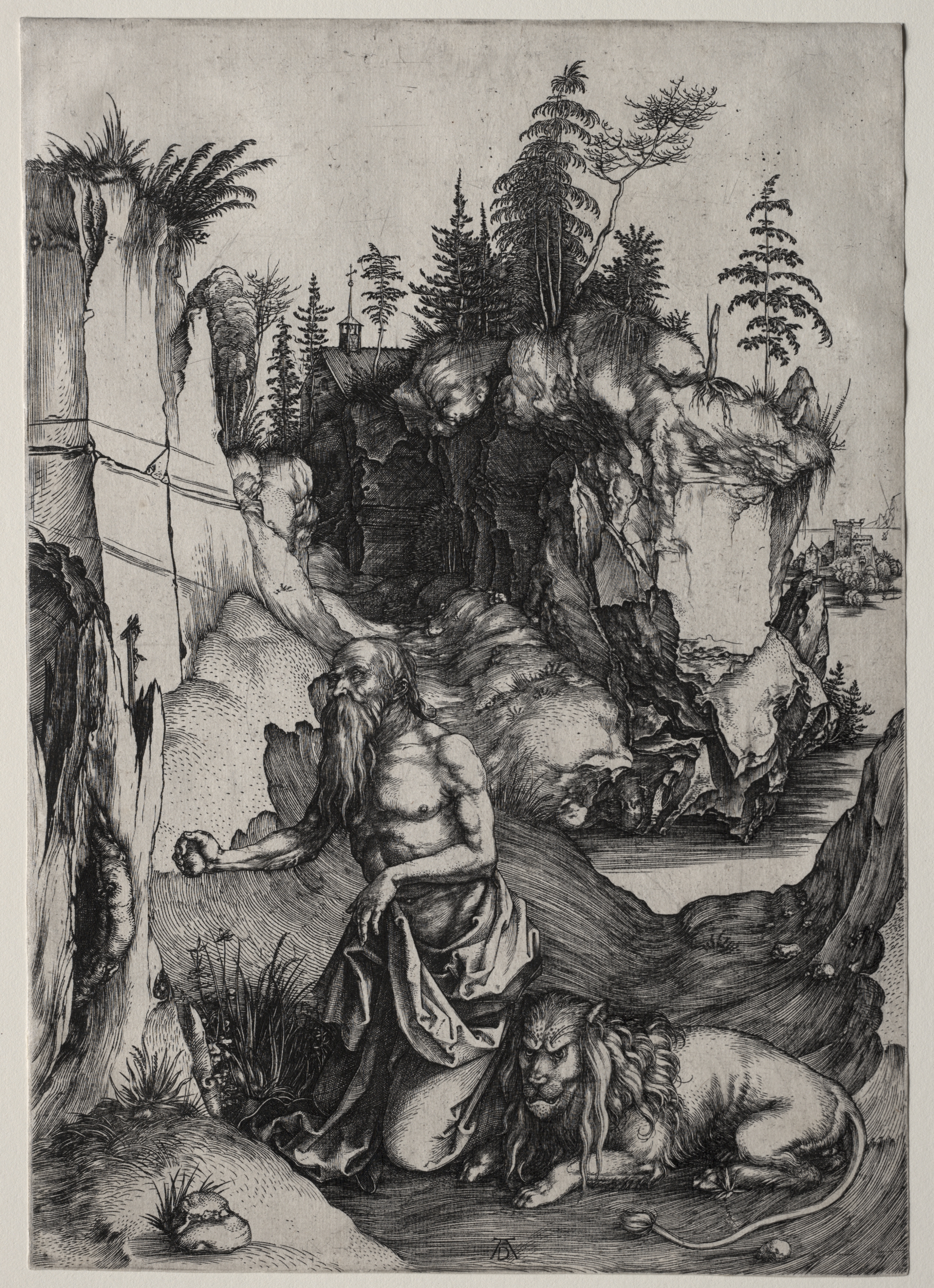 St. Jerome in Penitence by Albrecht Dürer