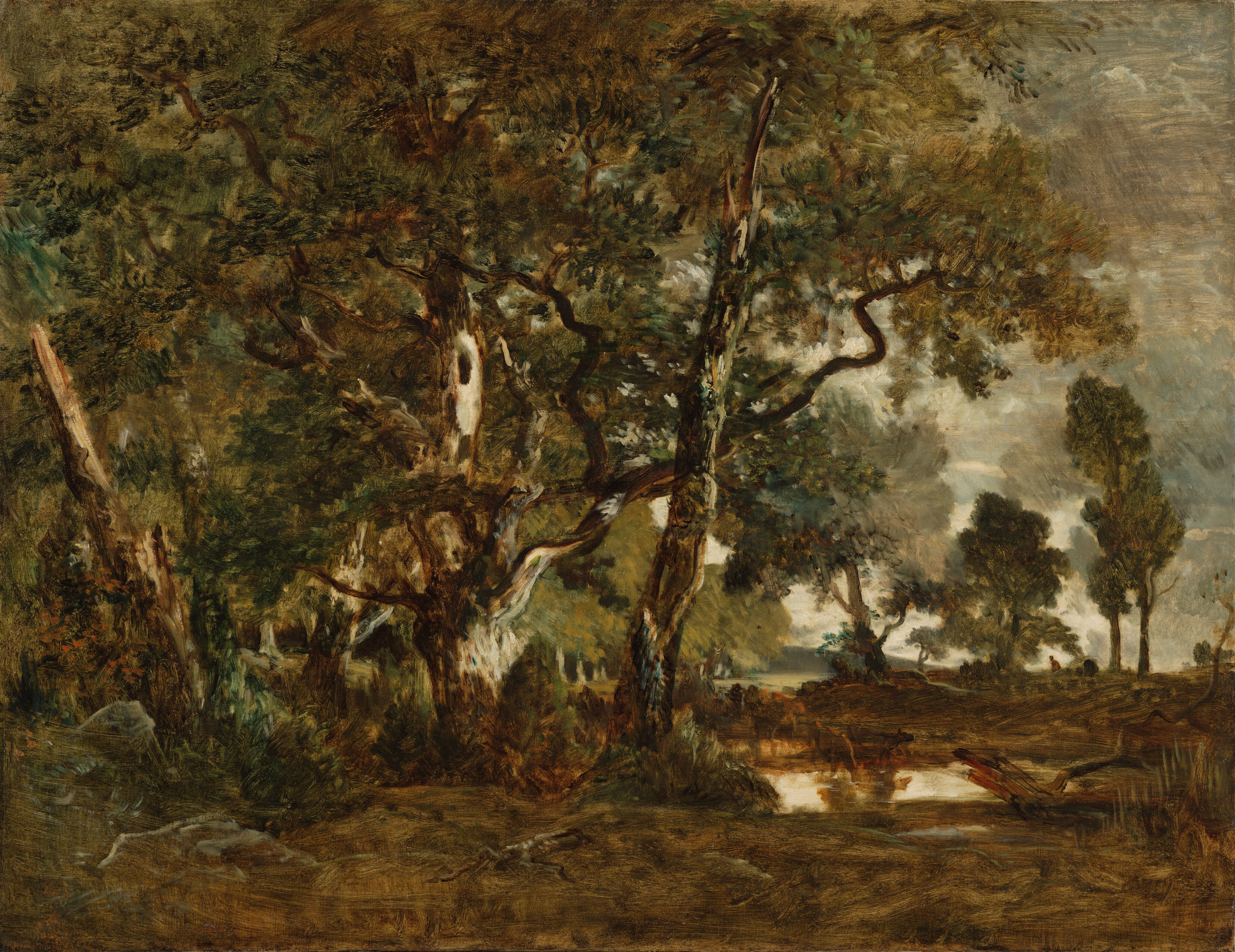 Forest of Fontainebleau, Cluster of Tall Trees Overlooking the Plain of Clair-Bois at the Edge of Bas-Bréau by Théodore Rousseau
