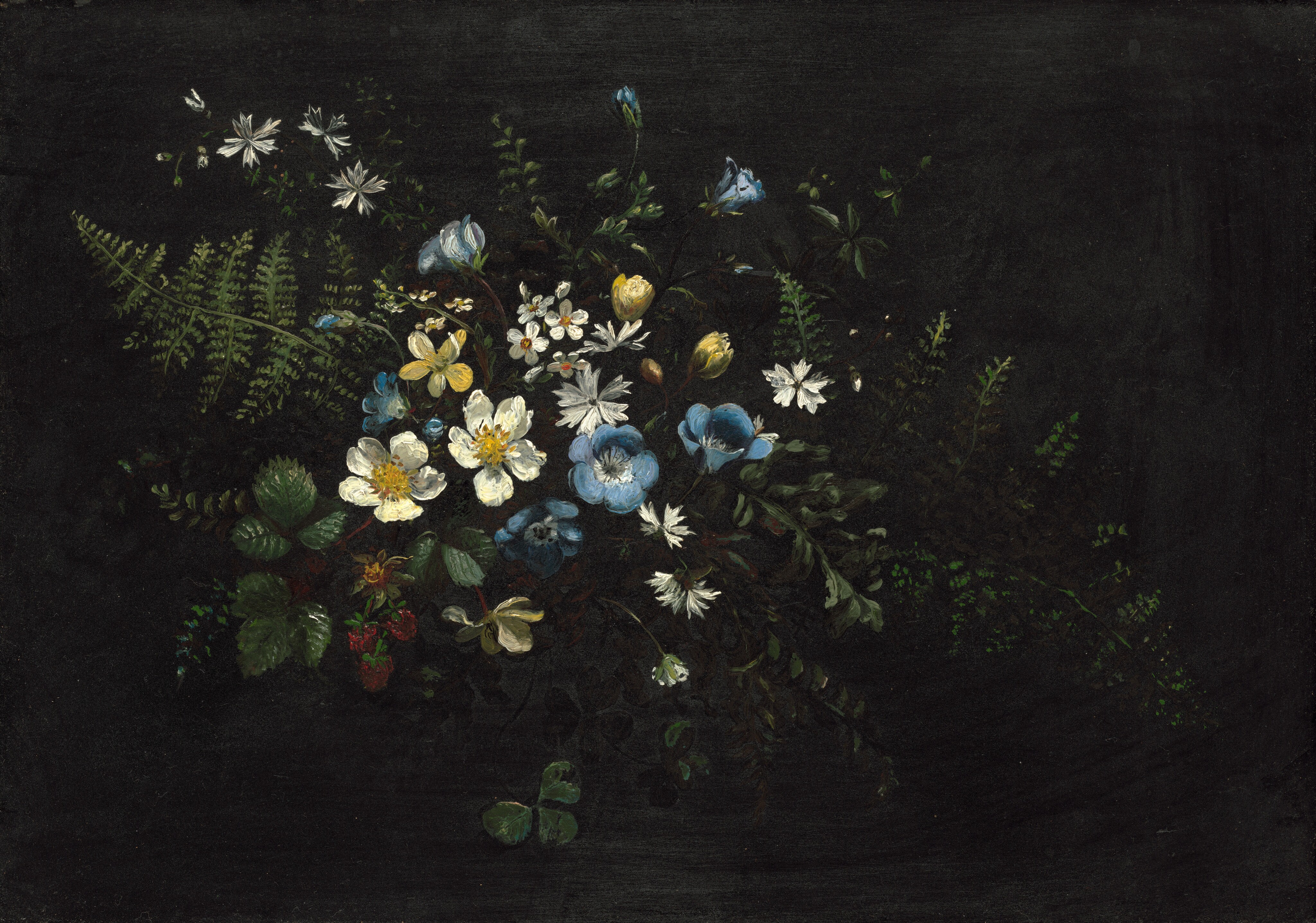 Spray of Flowers and Ferns by Titian Ramsay Peale
