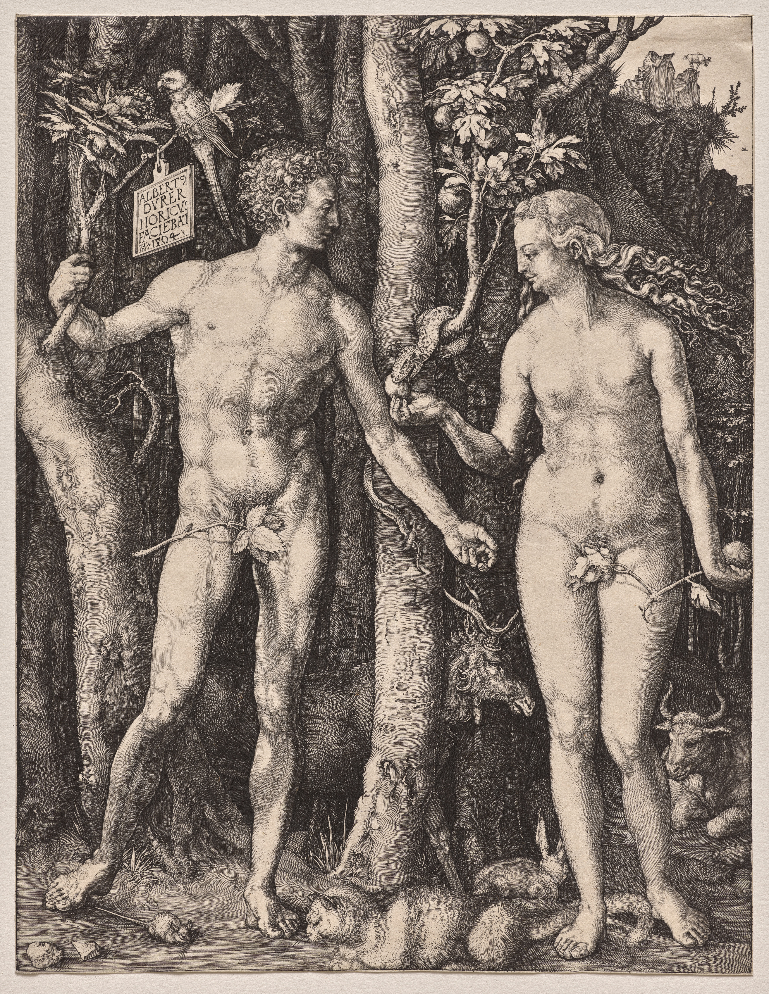Adam and Eve by Albrecht Dürer