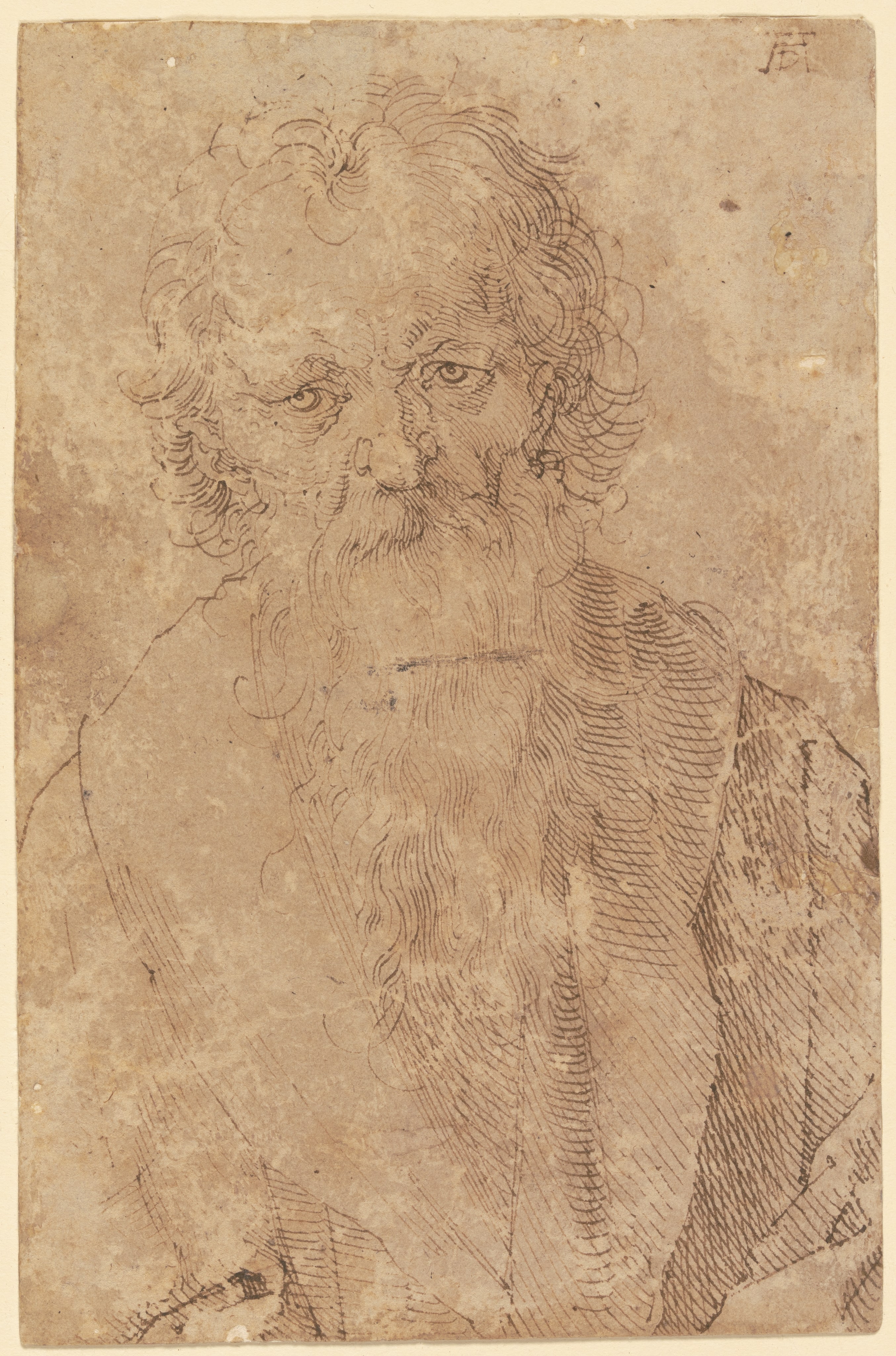 Bärtiger alter Mann by Albrecht Dürer