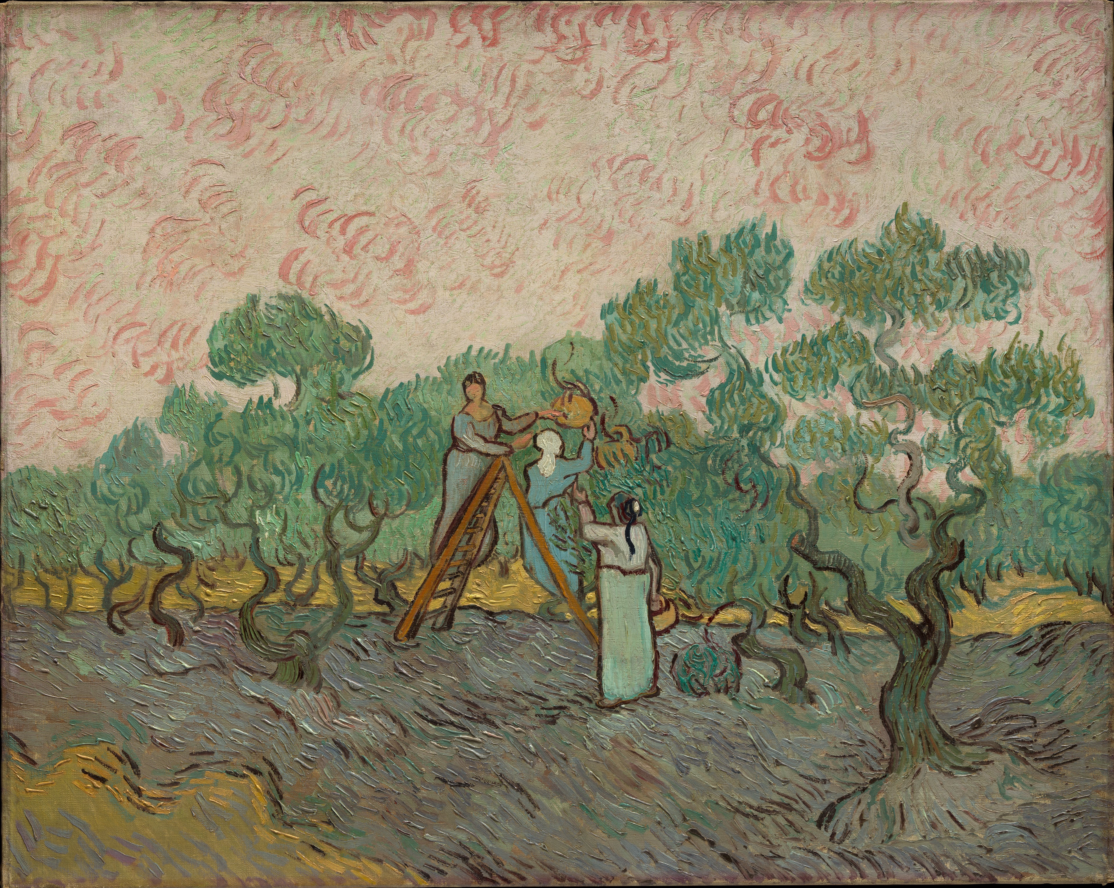 Women Picking Olives by Vincent van Gogh