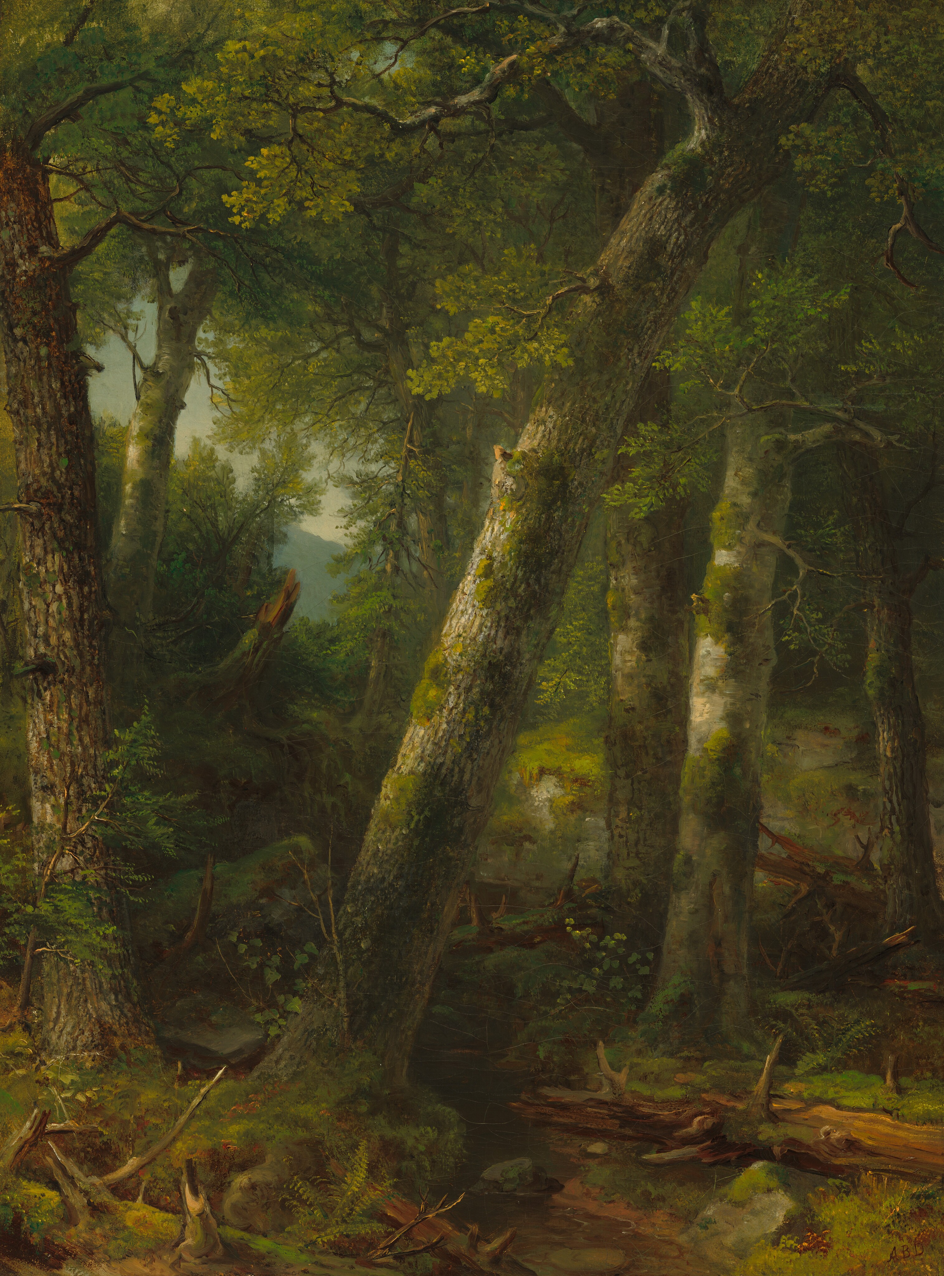 Forest in the Morning Light by Asher Brown Durand