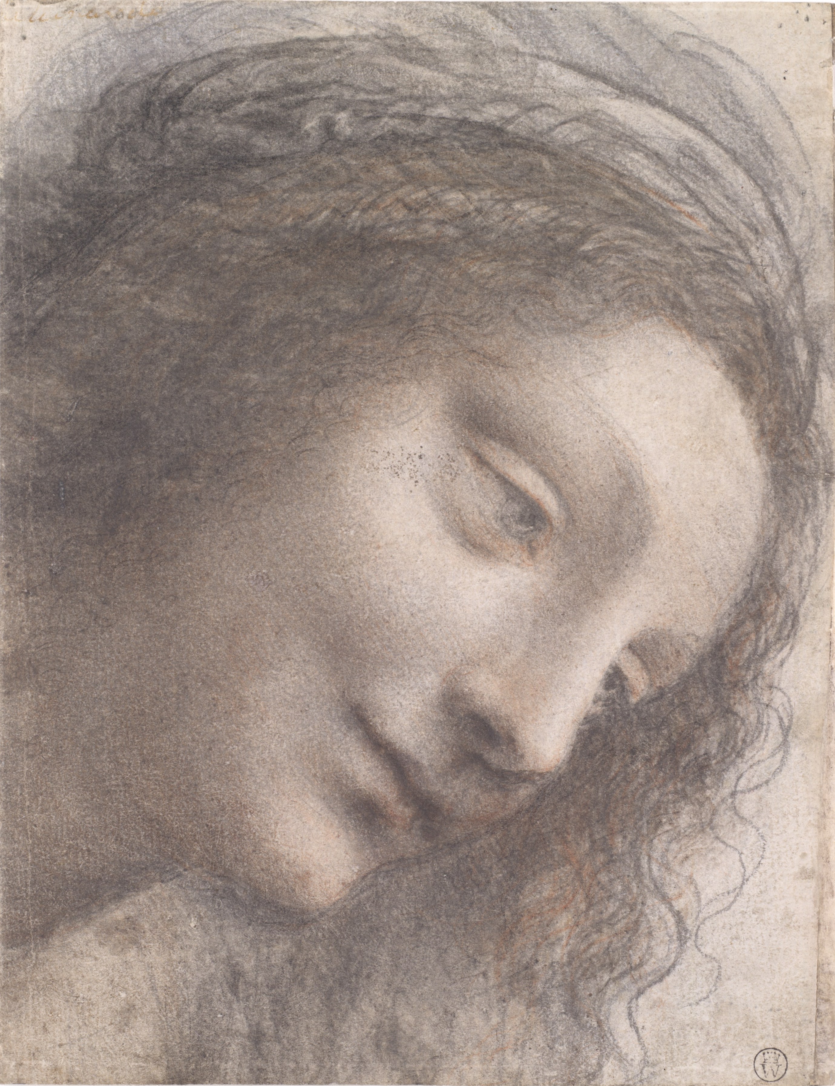 The Head of the Virgin in Three-Quarter View Facing Right by Leonardo da Vinci