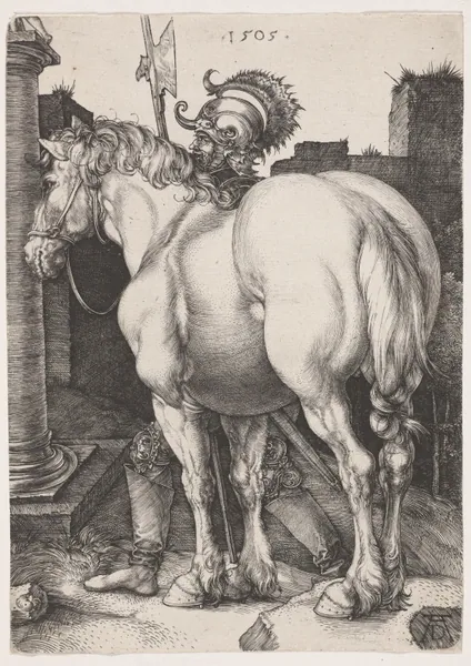The Large Horse by Albrecht Dürer