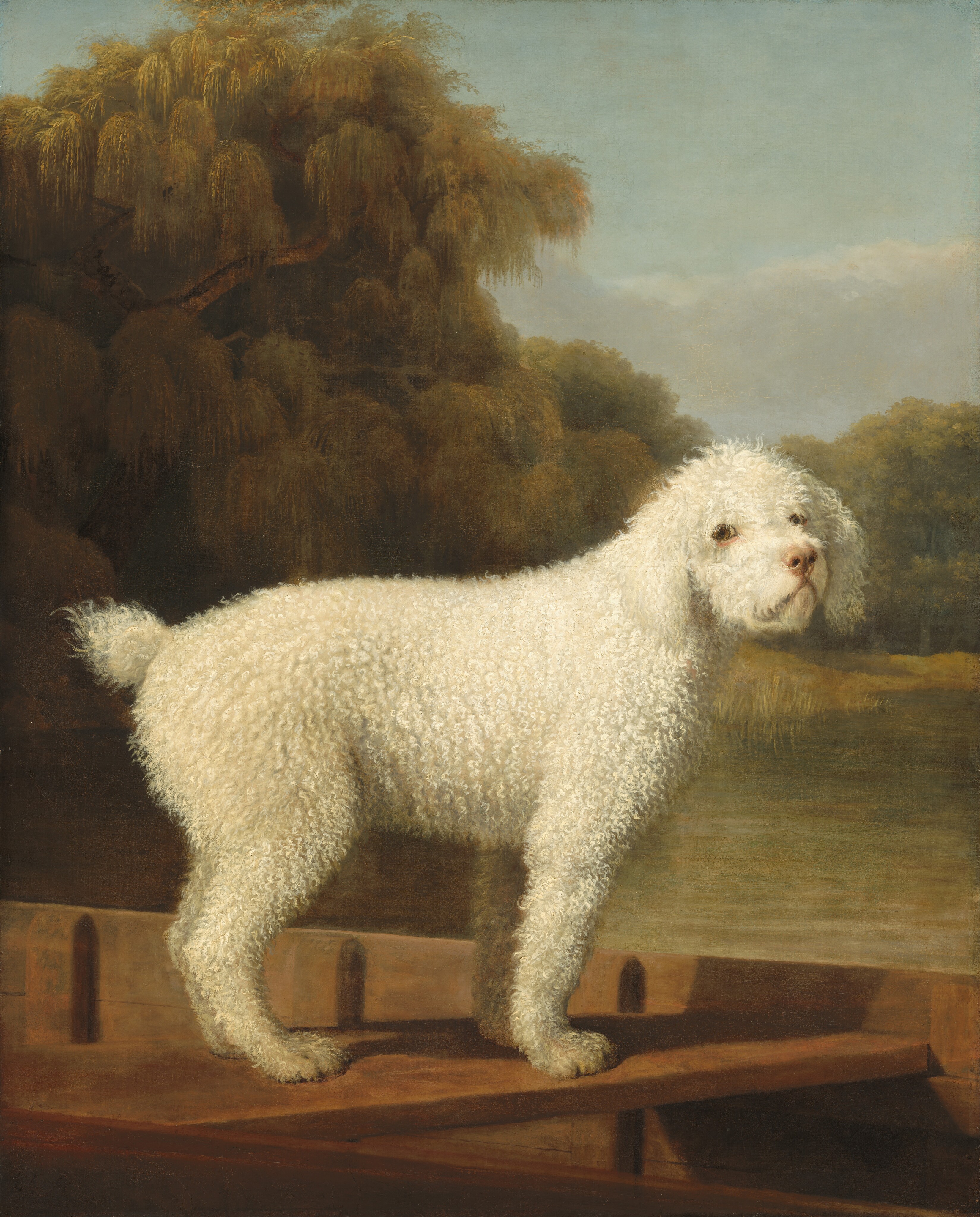 White Poodle in a Punt by George Stubbs
