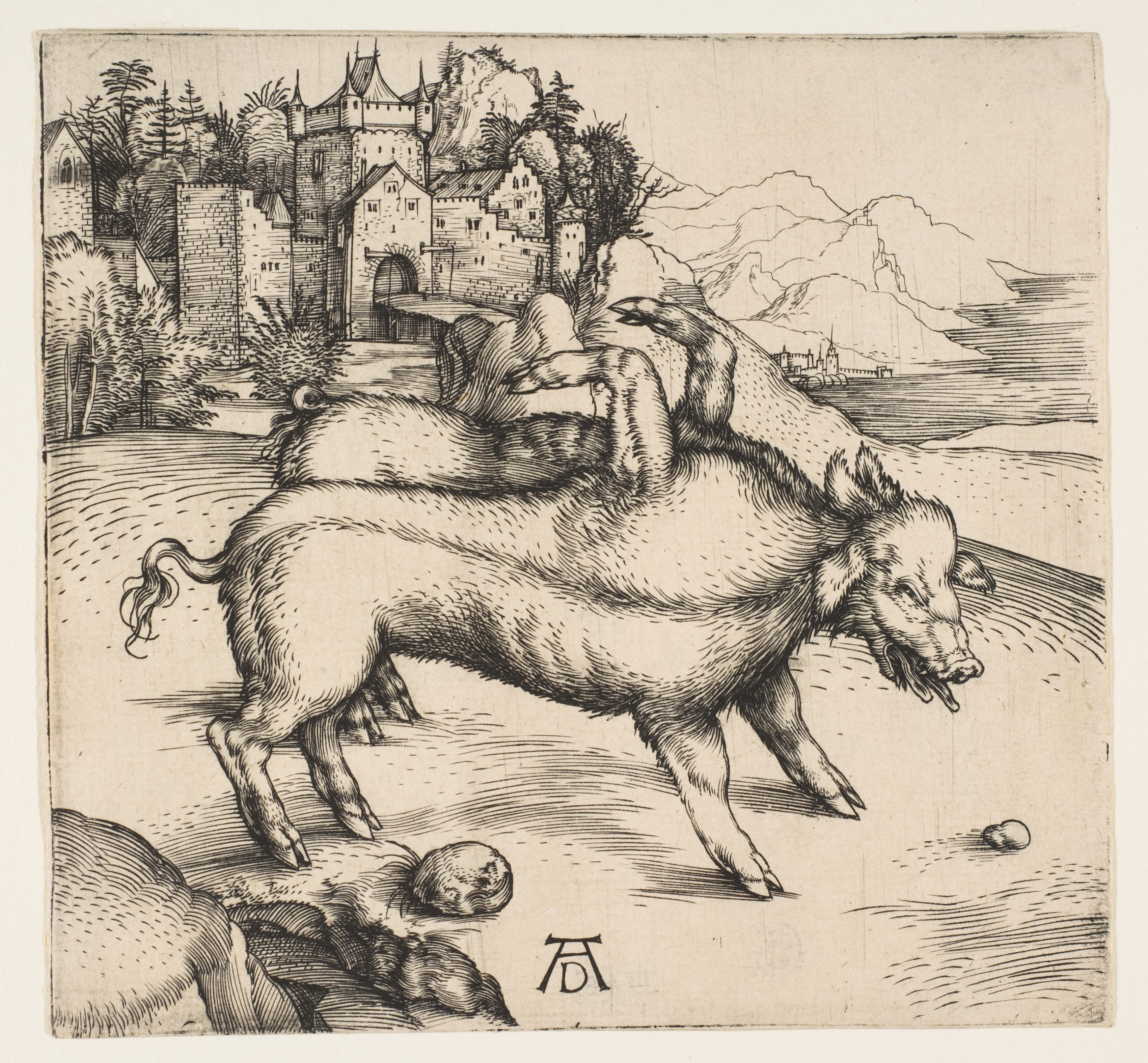The Monstrous Pig of Landser by Albrecht Dürer