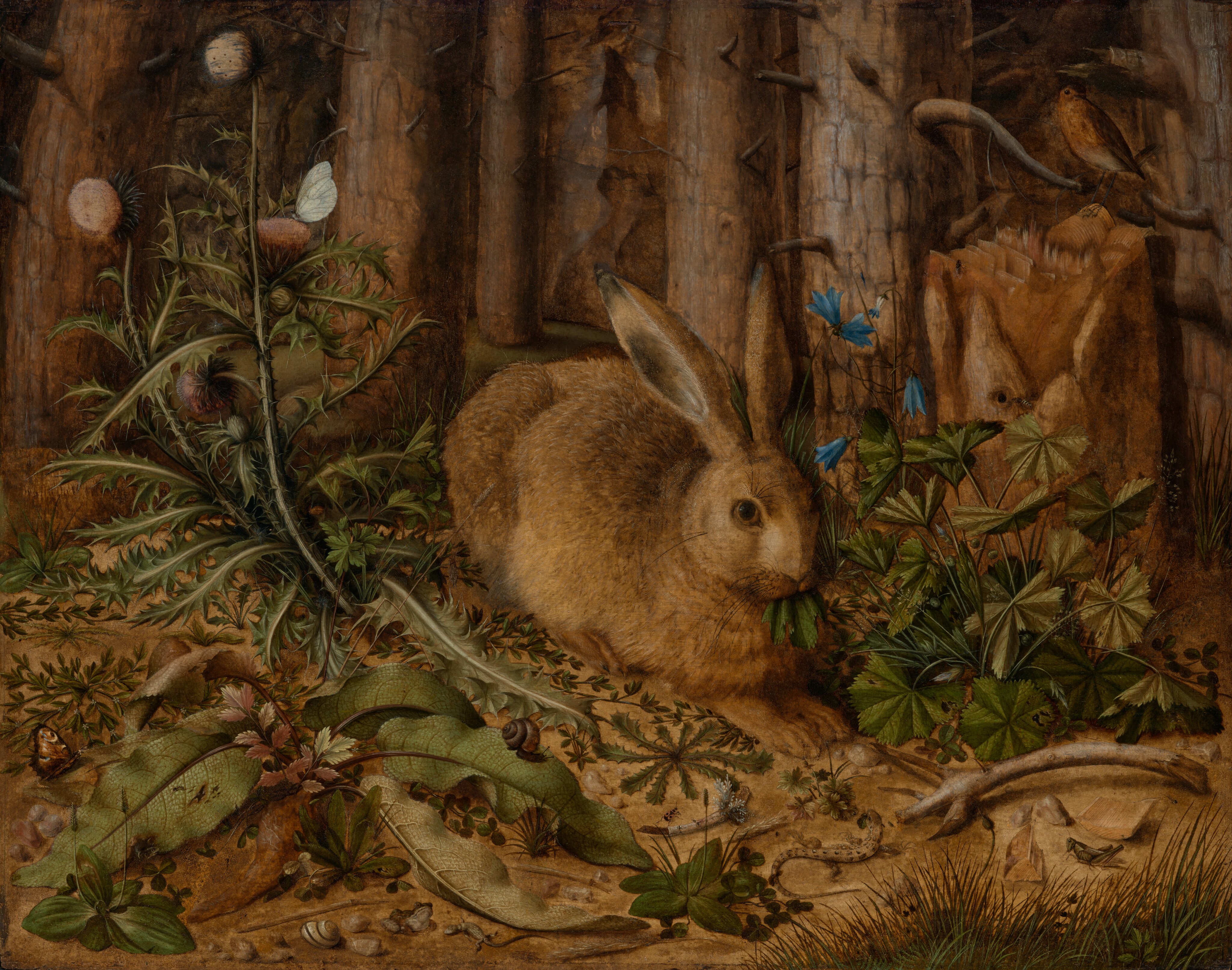 A Hare in the Forest by Hans Hoffmann