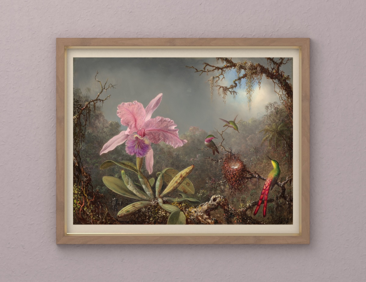 Cattleya-Orchidee und drei Kolibris — Walnussgoldener Schrägschnitt · Warmer Papierschnitt · Graurose Wand.