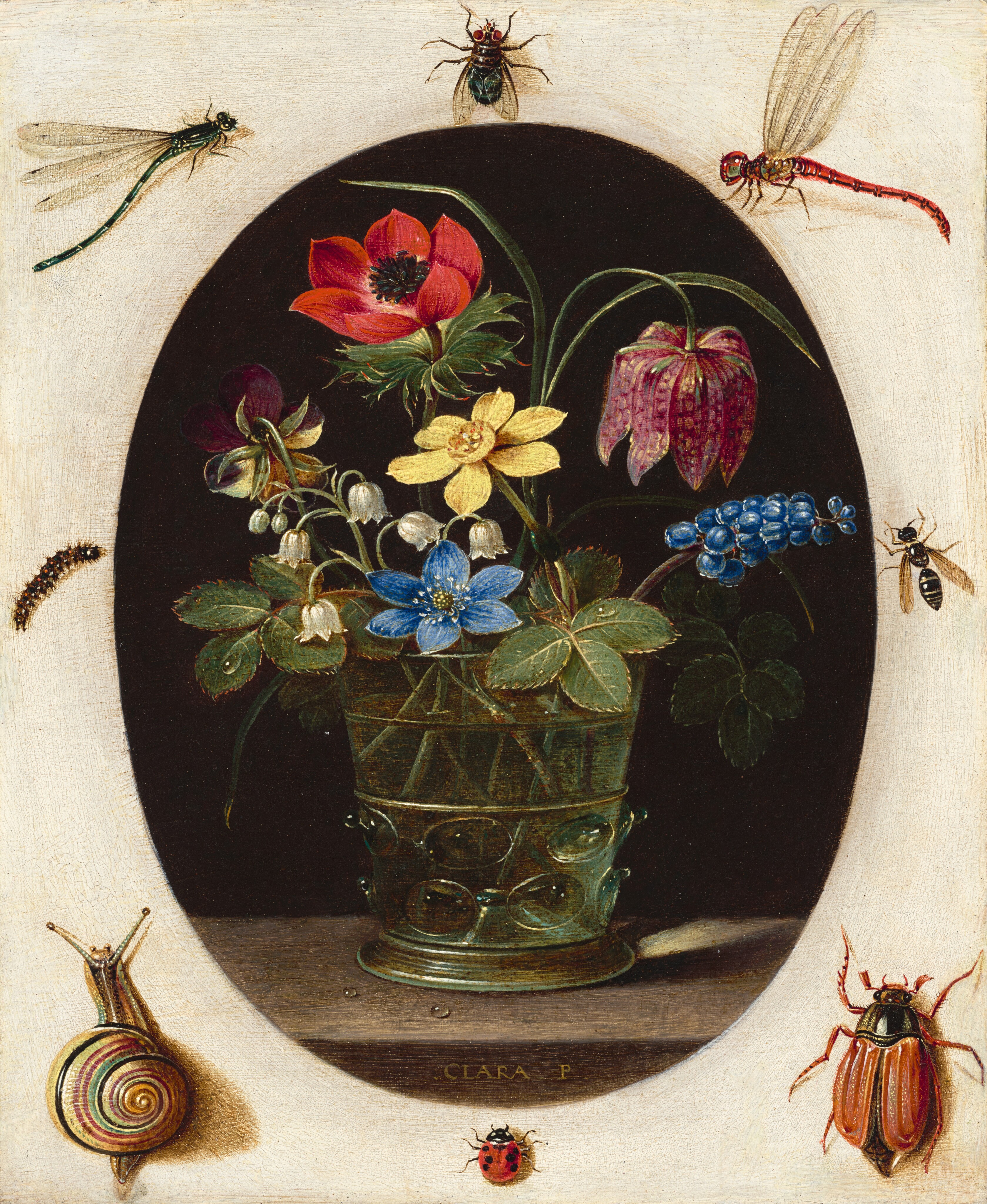 Still Life with Flowers Surrounded by Insects and a Snail by Clara Peeters