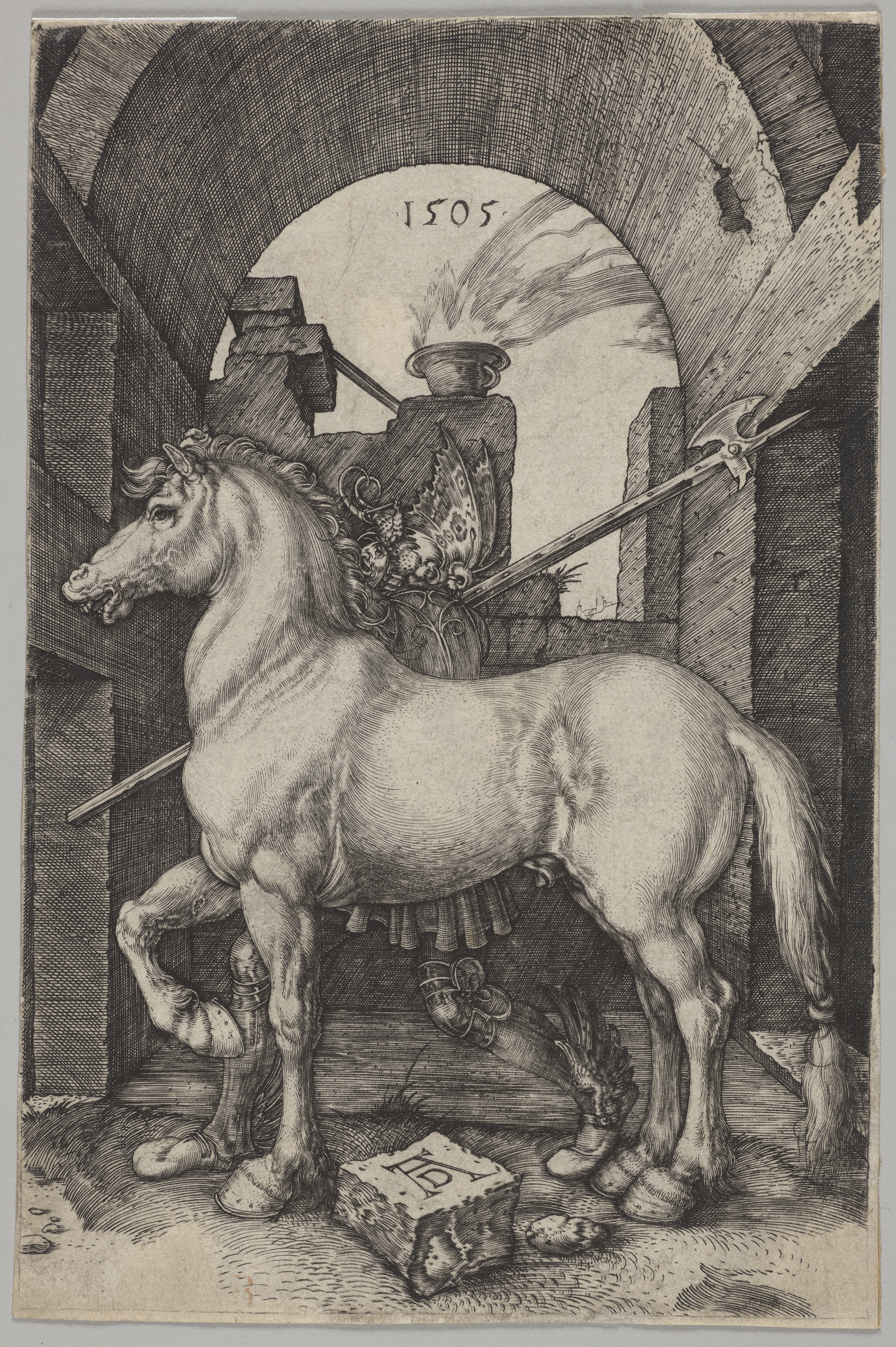 The Small Horse by Albrecht Dürer