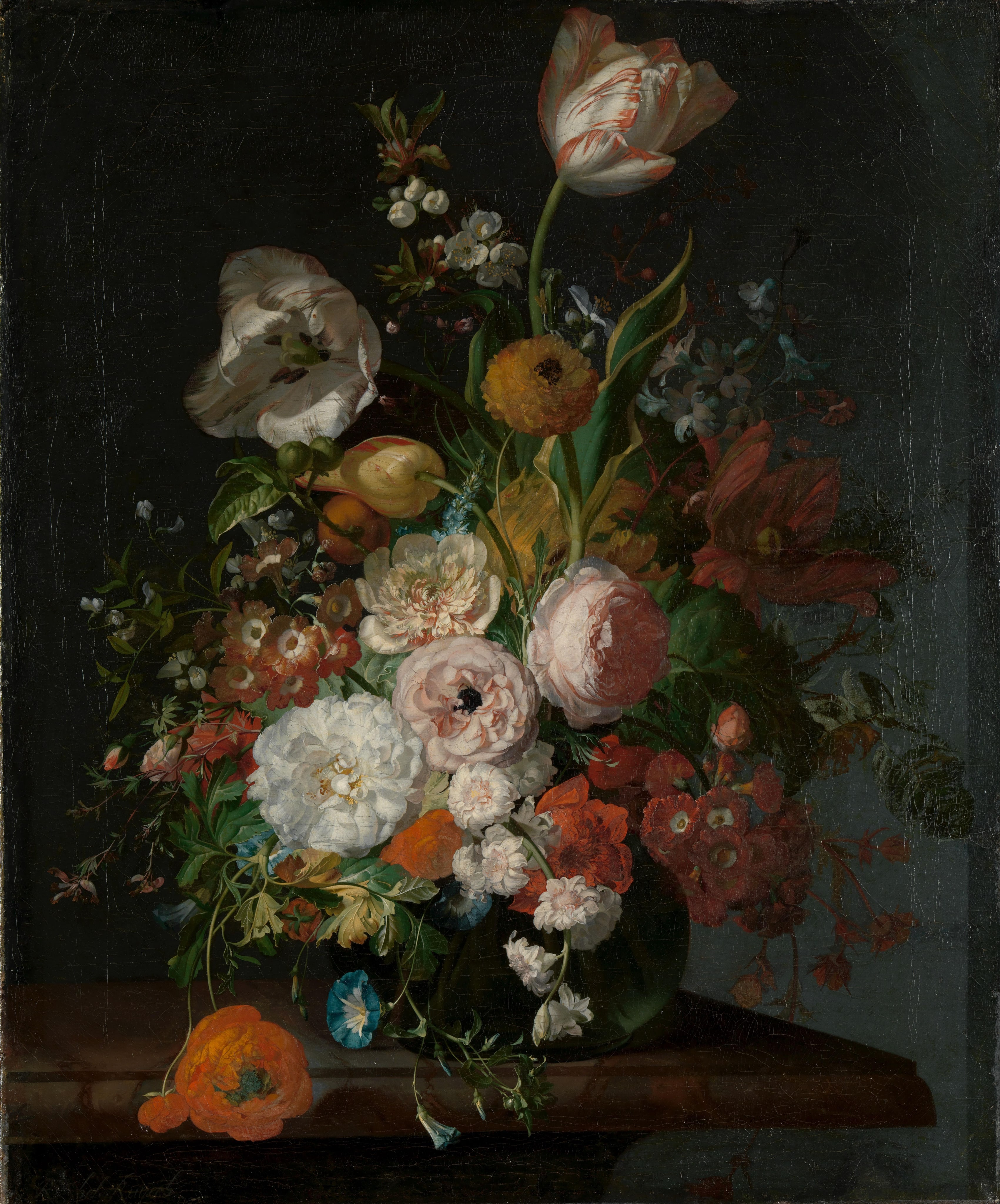 Still Life with Flowers in a Glass Vase by Rachel Ruysch