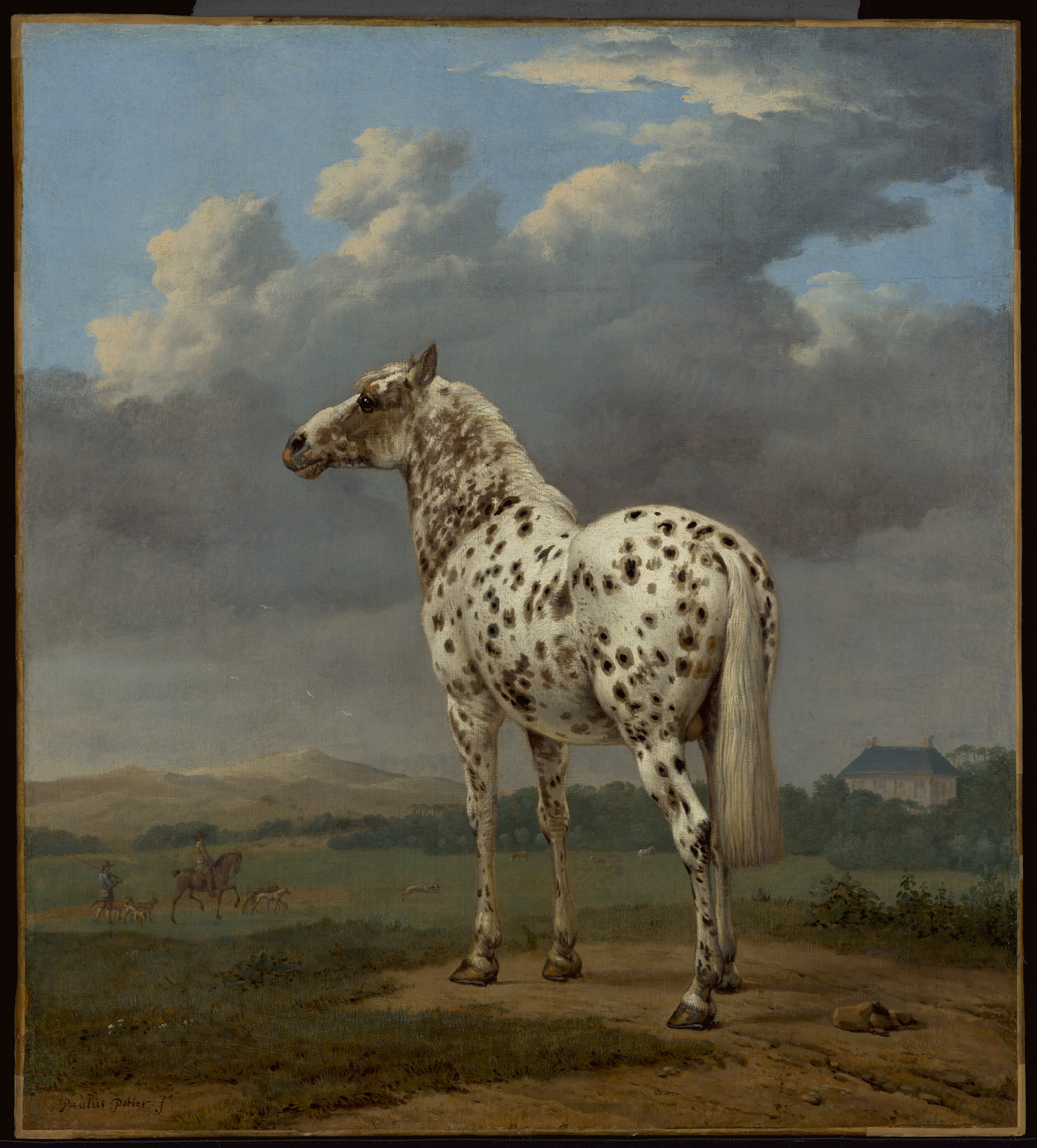 The "Piebald" Horse by Paulus Potter